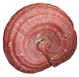 《杀戮空间3》PC配置需求公布 推荐3060显卡爽玩